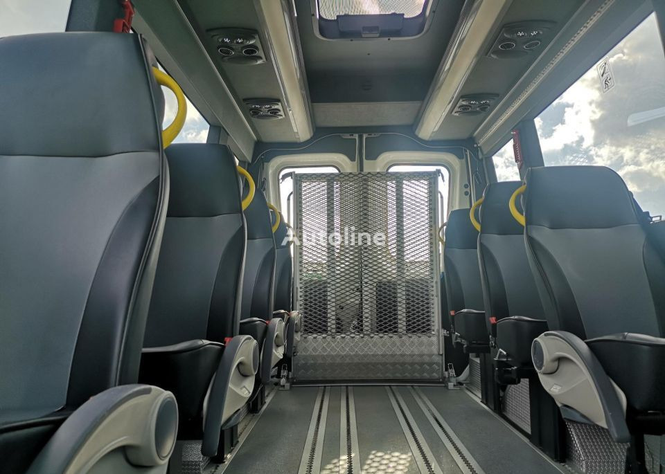 Minibus, Passenger van IVECO Daily: picture 19