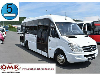 Minibus, Passenger van Mercedes-Benz 516 CDI Sprinter/komplett saniert/Crafter: picture 1