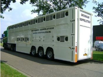 Livestock semi-trailer Gray and Adams Doppelstock Companjen Cattle Carrier: picture 1