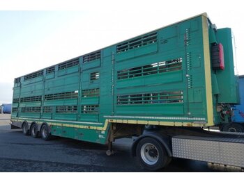 Livestock semi-trailer Pezzaioli SBA32/U, 3 Stock , Viehtransporter  , Tränkeranlage,: picture 1