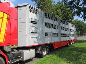 Livestock semi-trailer Pezzaioli SBA 62 U: picture 1