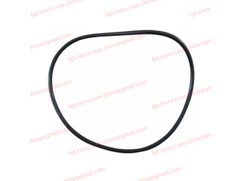 Piston/ Ring/ Bushing for Bus FPT IVECO CASE Cursor9Bus F2CFE612D*J231/F2CFE612A*J098 5802748674 Cylinder liner O-ring (black)99459176: picture 2