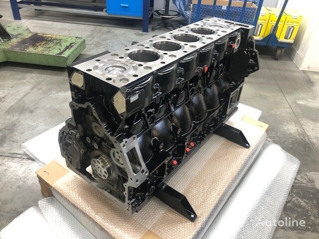Engine for Truck MAN D2676LF52: picture 3