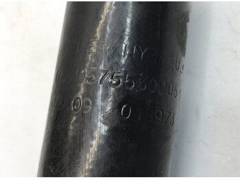 Hydraulic cylinder for Truck Mercedes-Benz Econic 1828 (01.98-): picture 2