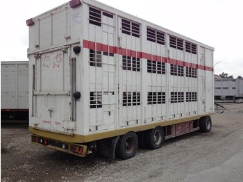 KABA 3 Stock Spindel    40km/H  - Closed box trailer