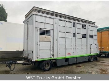 2X KABA 3 Stock  Hubd Vollalu 7,30m Viehanhänger  - Livestock trailer