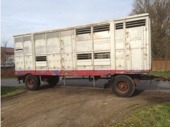KABA Einstock  - Livestock trailer