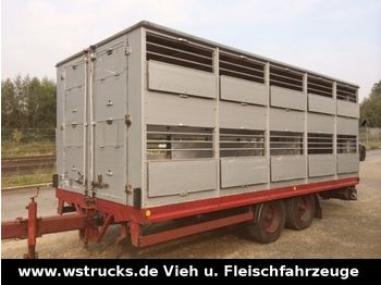 KABA Tandem Einstock  - Livestock trailer