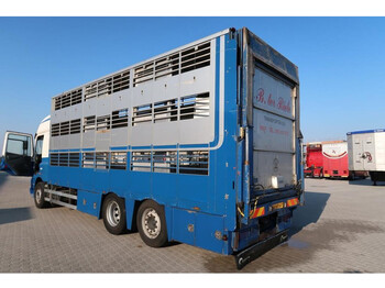 Livestock truck CUPPERS Veebak: picture 1