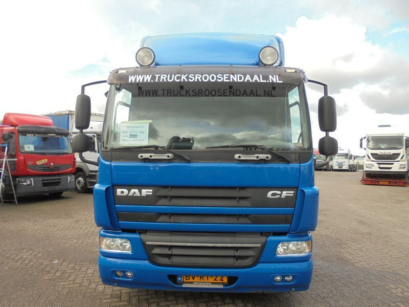 Cab chassis truck DAF CF 75.250 + Euro 5: picture 2