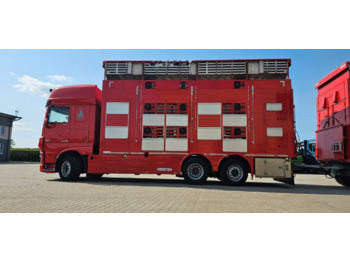 Livestock truck DAF XF 105 510