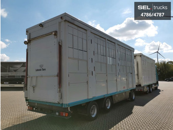 Livestock truck DAF XF 105.460  / Intarder / 4 Stock / KOMPLETT !: picture 4