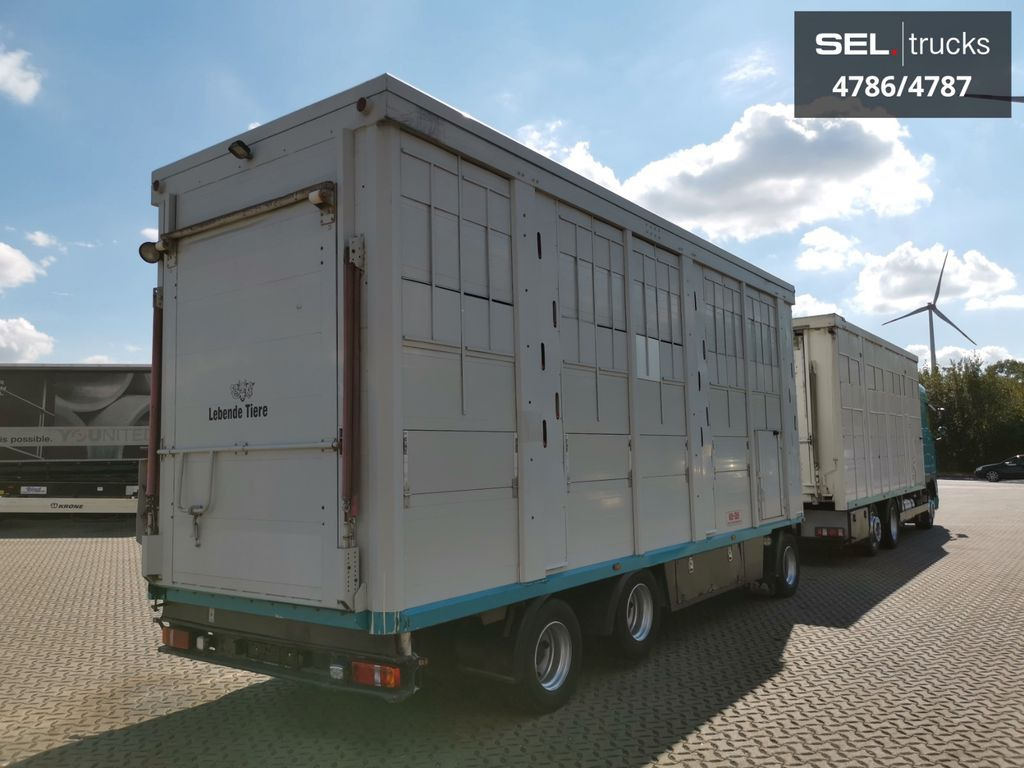 Livestock truck DAF XF 105.460  / Intarder / 4 Stock / KOMPLETT !: picture 4