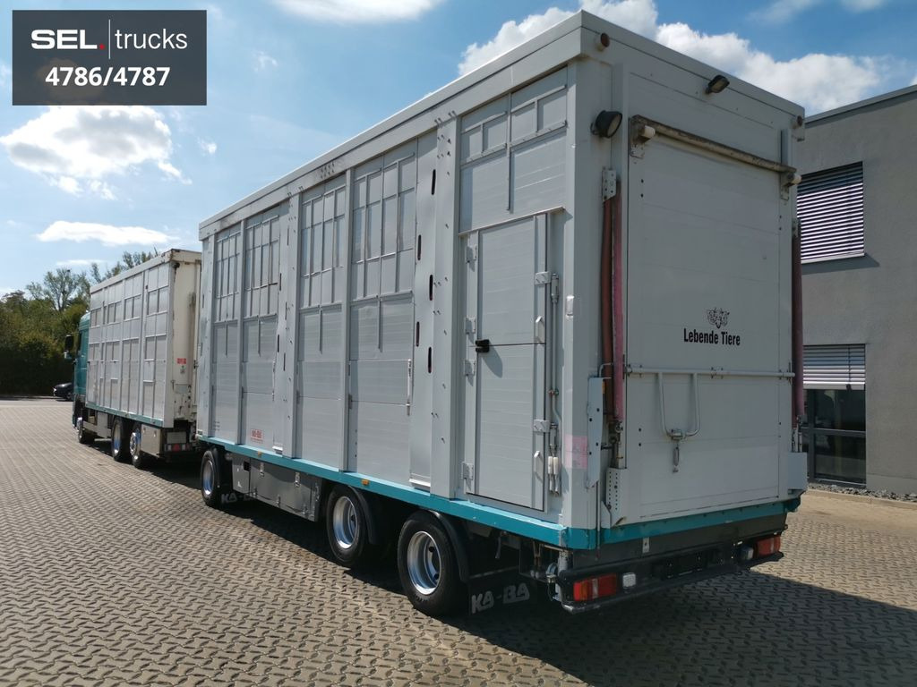 Livestock truck DAF XF 105.460  / Intarder / 4 Stock / KOMPLETT !: picture 6