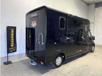 New Horse truck Fiat Böckmann Compact L+ Stall Tour LKW: picture 2