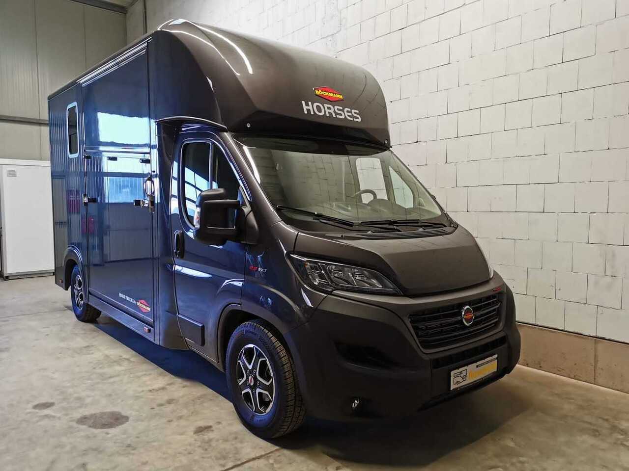 New Horse truck Fiat Böckmann Compact Stall LKW: picture 28