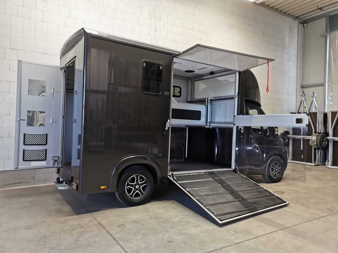 New Horse truck Fiat Böckmann Compact Stall LKW: picture 10