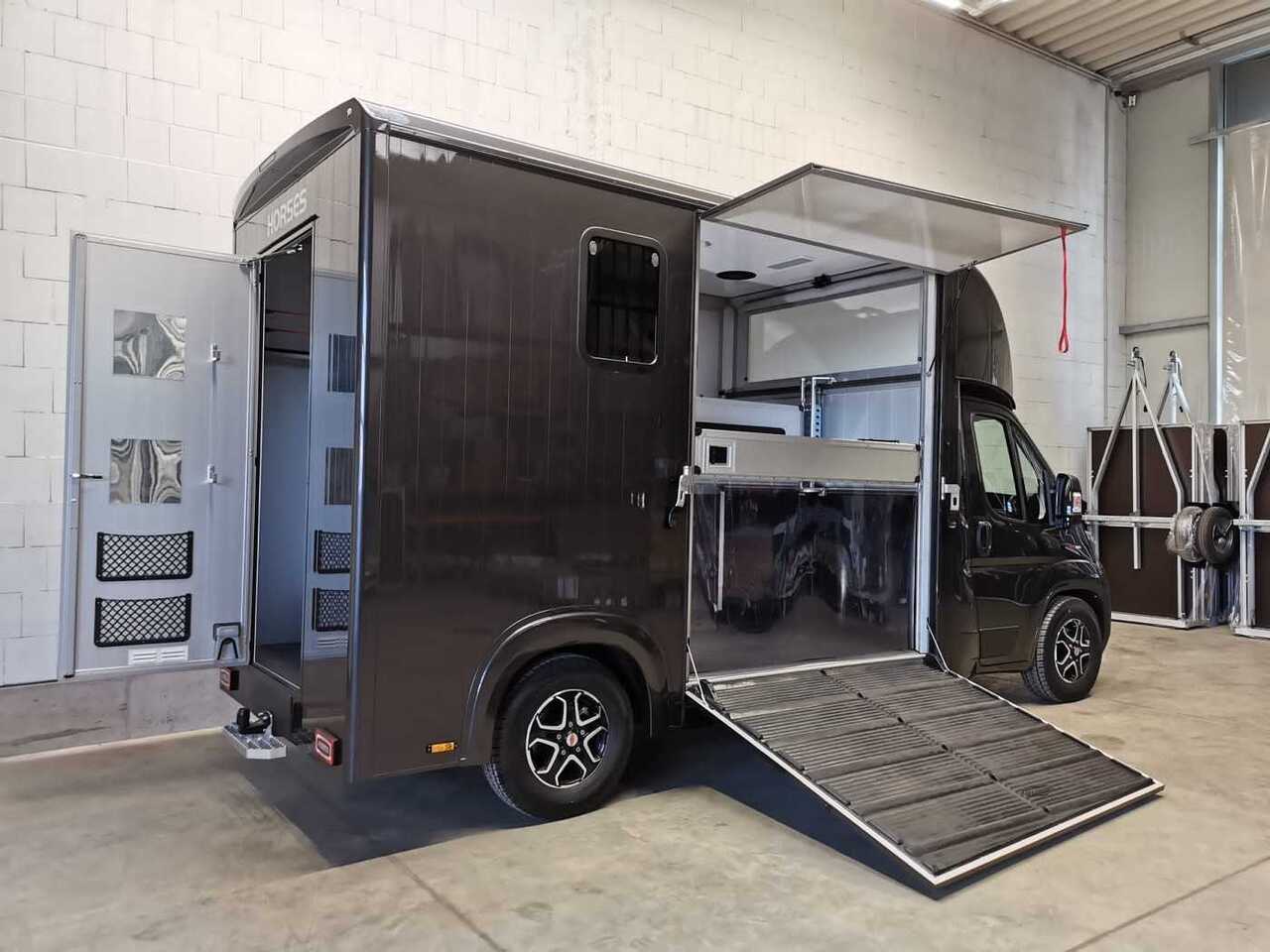 New Horse truck Fiat Böckmann Compact Stall LKW: picture 26