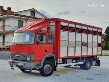 Livestock truck IVECO 135.14 Trasporto Animali 115qli: picture 1