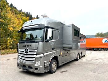 Livestock truck Mercedes-Benz Pferdedetransporter