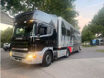 Livestock truck Scania Pferdetransporter