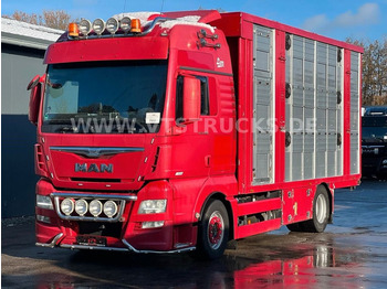 Livestock truck MAN TGX 18.580