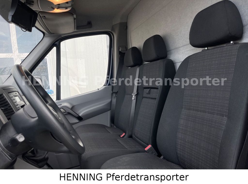 New Horse truck, Crane truck Mercedes-Benz Sprinter 3 - Sitzer *AUSBAU AUF WUNSCH*: picture 15