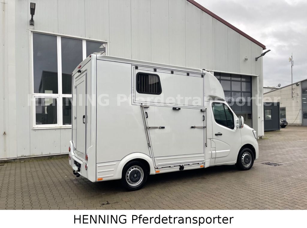 Horse truck, Van Renault Master 3 - Sitzer *AUFBAU NEU*: picture 6