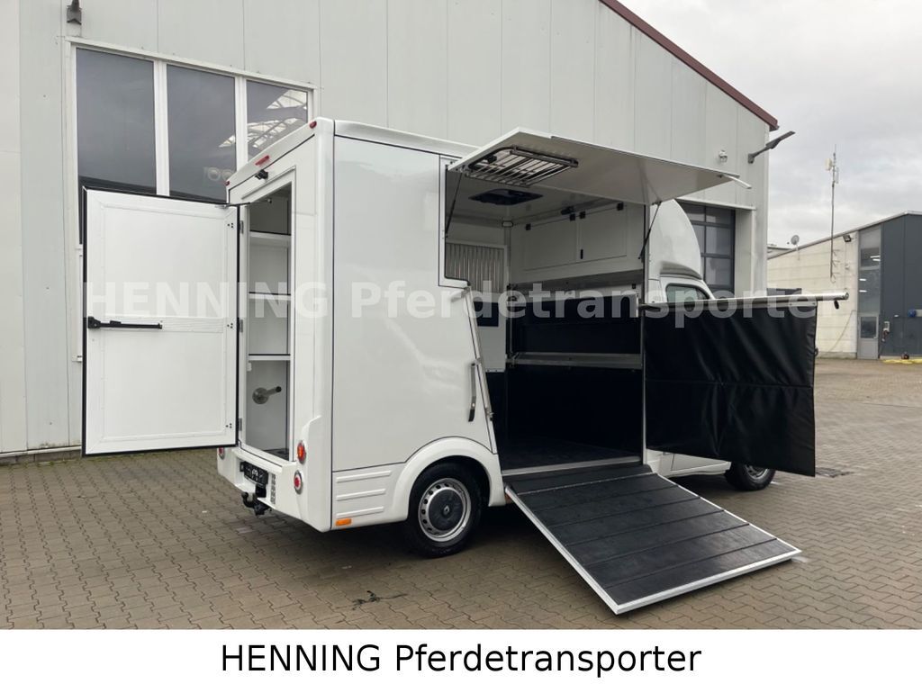 Horse truck, Van Renault Master 3 - Sitzer *AUFBAU NEU*: picture 8