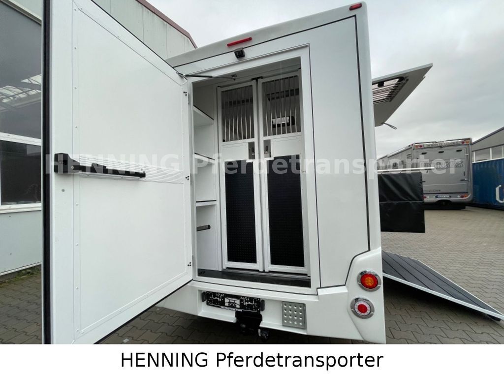 Horse truck, Van Renault Master 3 - Sitzer *AUFBAU NEU*: picture 12