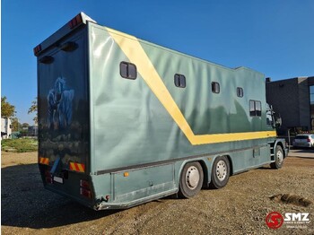 Horse truck Scania 113 paarden/mobilhome: picture 4