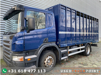 Livestock truck Scania P 230 / Full Steel / Manaul / 260.000 KM!! / TUV: 10-2023 / Belgium Truck: picture 1