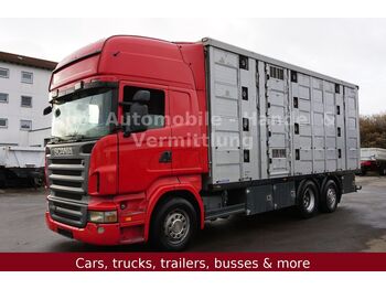 Livestock truck Scania R480 TopLine MenkeJanzen*Retarder/4-Stock/Typ-1: picture 1