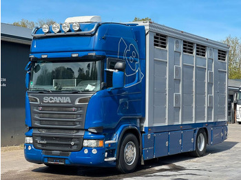 Livestock truck SCANIA R 520