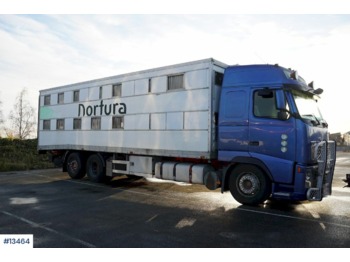 Livestock truck Volvo FH12: picture 1