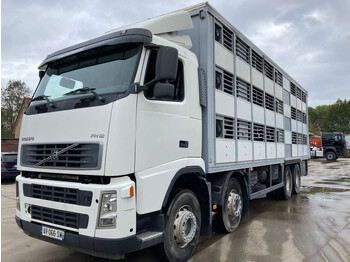 Livestock truck Volvo FH 12.460 **LIVESTOCK TRANSPORT-LAMES-FULL STEEL**: picture 1