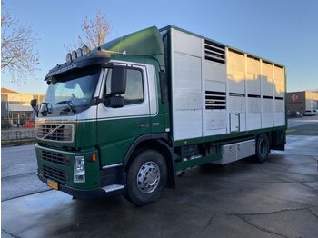 Livestock truck Volvo FM 9.300 4X2 - LIVESTOCK + HYDRAULIC FLOOR - MAN: picture 1