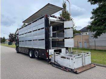 DAF XF 460 2017 berdex 3 lagen varkens - Livestock truck: picture 4