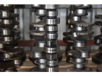 ΕΚΚΕΝΤΡΟΦΟΡΟΣ MERCEDES ATEGO A906 050 42 01 - Camshaft: picture 3