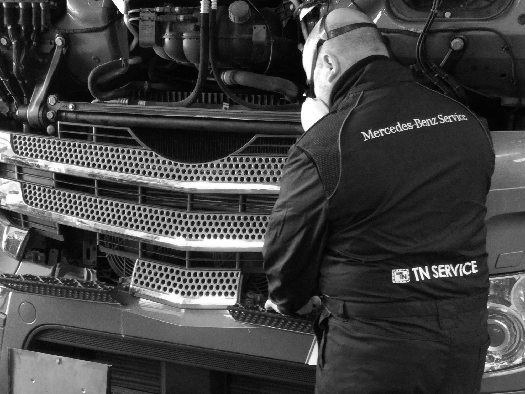 TN Service srl - vehicles for sale undefined: picture 9