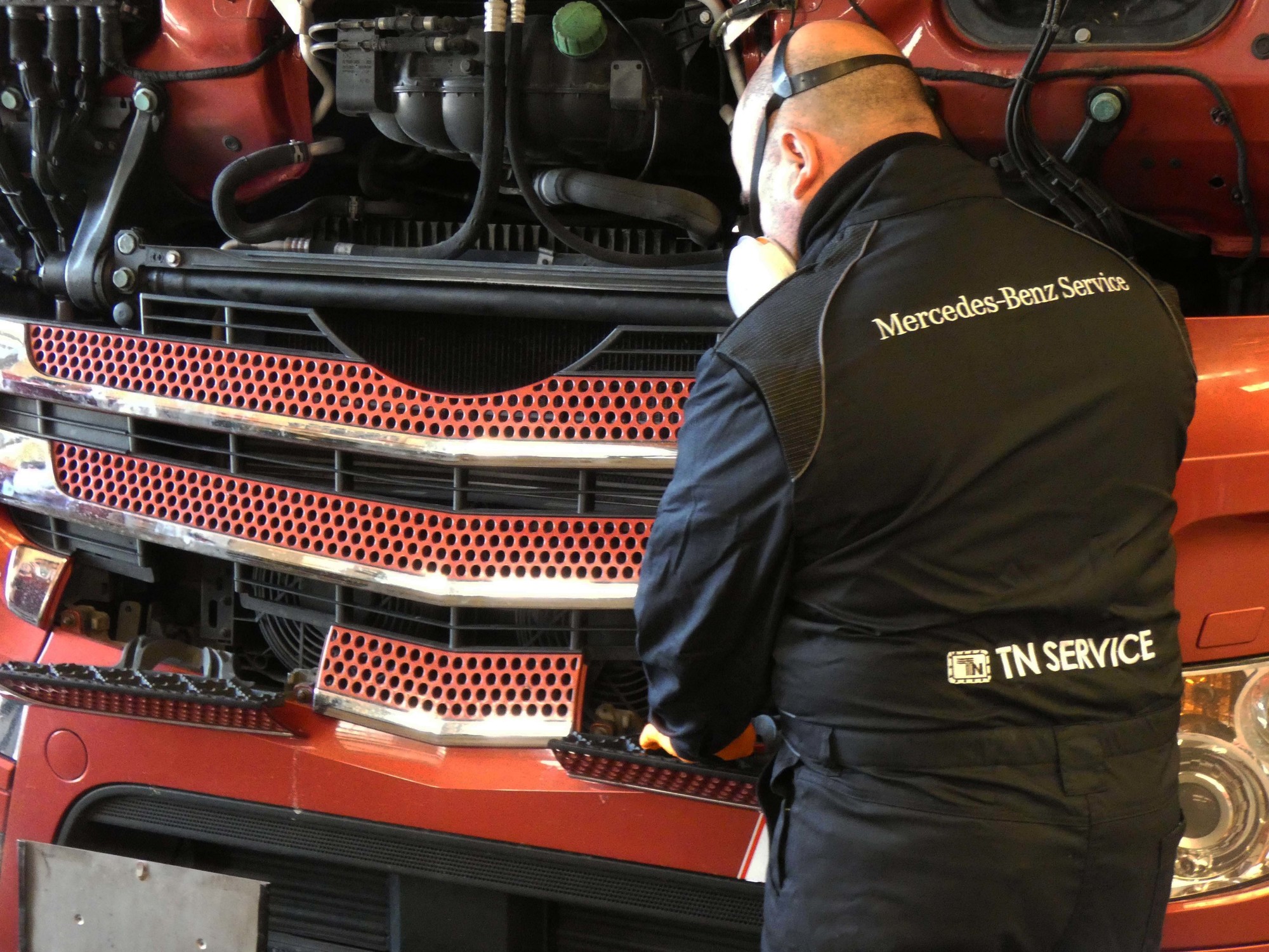 TN Service srl - vehicles for sale undefined: picture 10