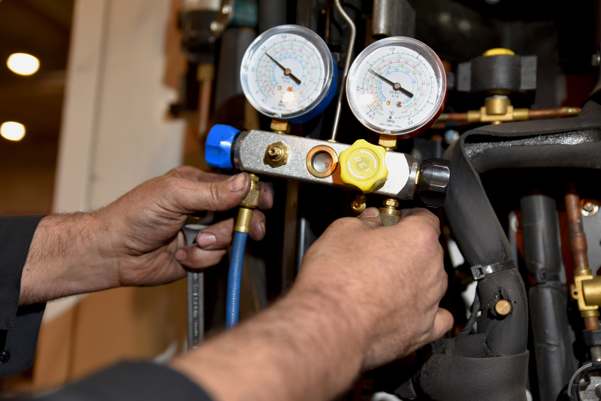 TN Service srl - vehicles for sale undefined: picture 4