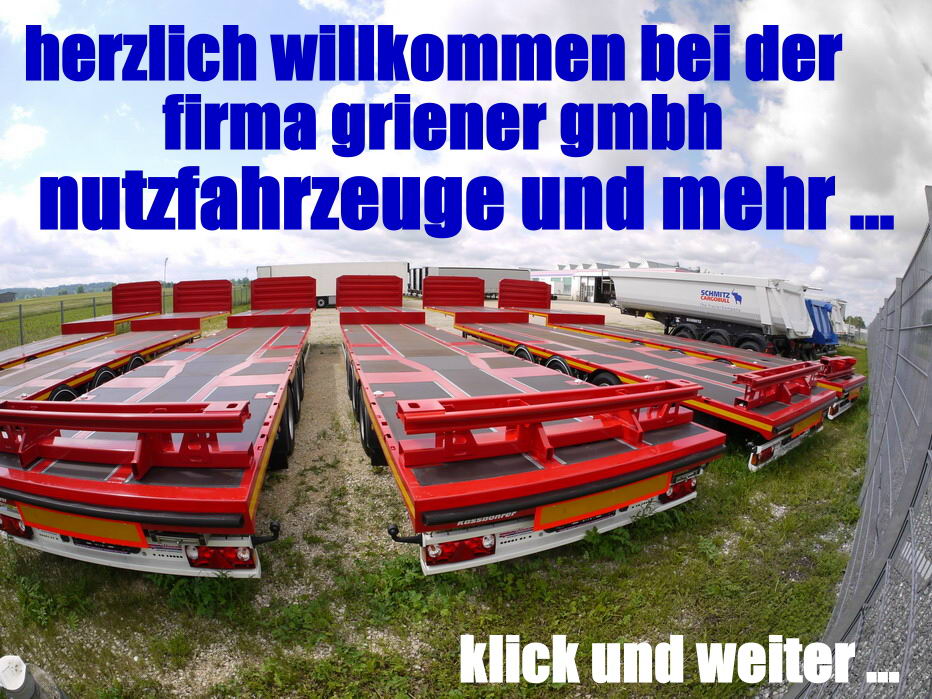 Griener gmbh nutzfahrzeuge und mehr ... - Other machinery - Year: 2022, diesel undefined: picture 1