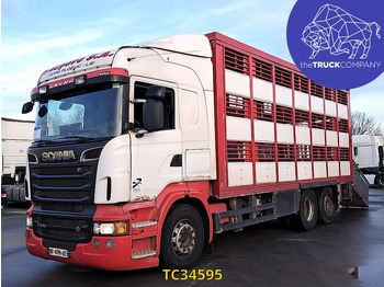 Livestock truck SCANIA R 500