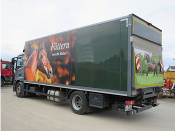 Box truck Mercedes-Benz Antos 1830 L nR 4x2 Standardkoffer LBW LBW 2to+F: picture 3