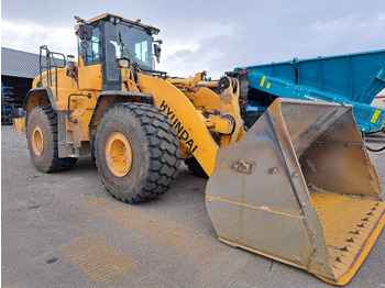 Leasing of Hyundai HL980XT  Hyundai HL980XT: picture 2
