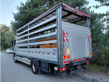 Curtainsider truck Mercedes-Benz Actros 1836 4x2, E6, Ladebordwand, Fahrschule: picture 5