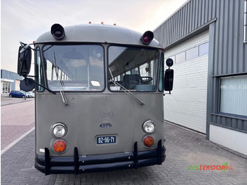 Bus CROWN Oldtimer / Jurybus / Camper 1969: picture 2 Bus CROWN Oldtimer / Jurybus / Camper 1969: picture 2