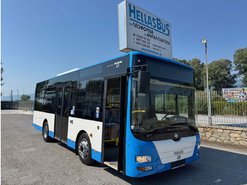 City bus MAN