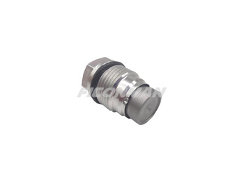 Valve IVECO